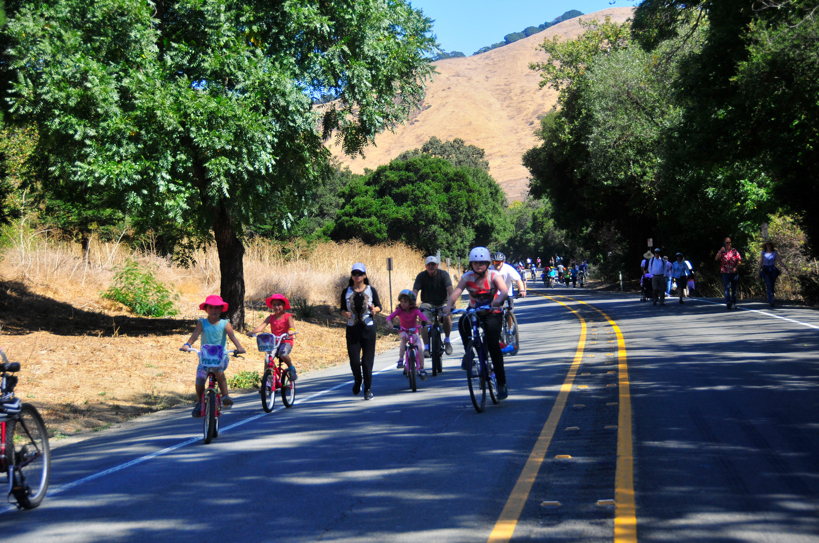 Niles Canyon landscape