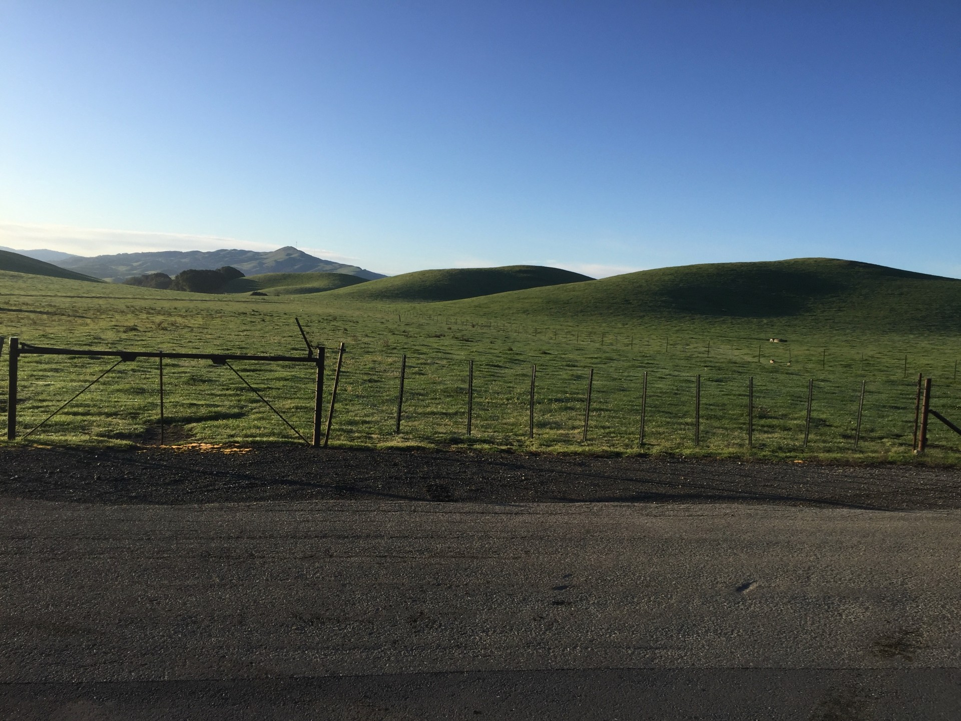 Green rolling hills and pasture at Vargas Plateau Regional Park
